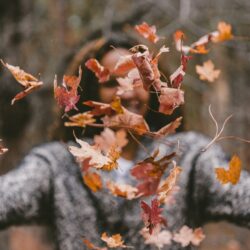How Autumn affects Our Minds and Bodies